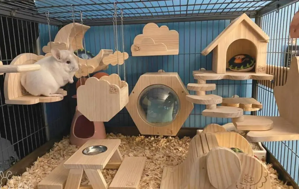 top chinchilla cages