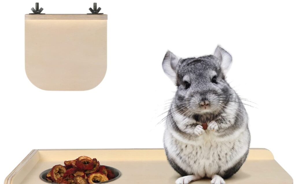 Best Cage Accessories for Small Pets like Chinchillas